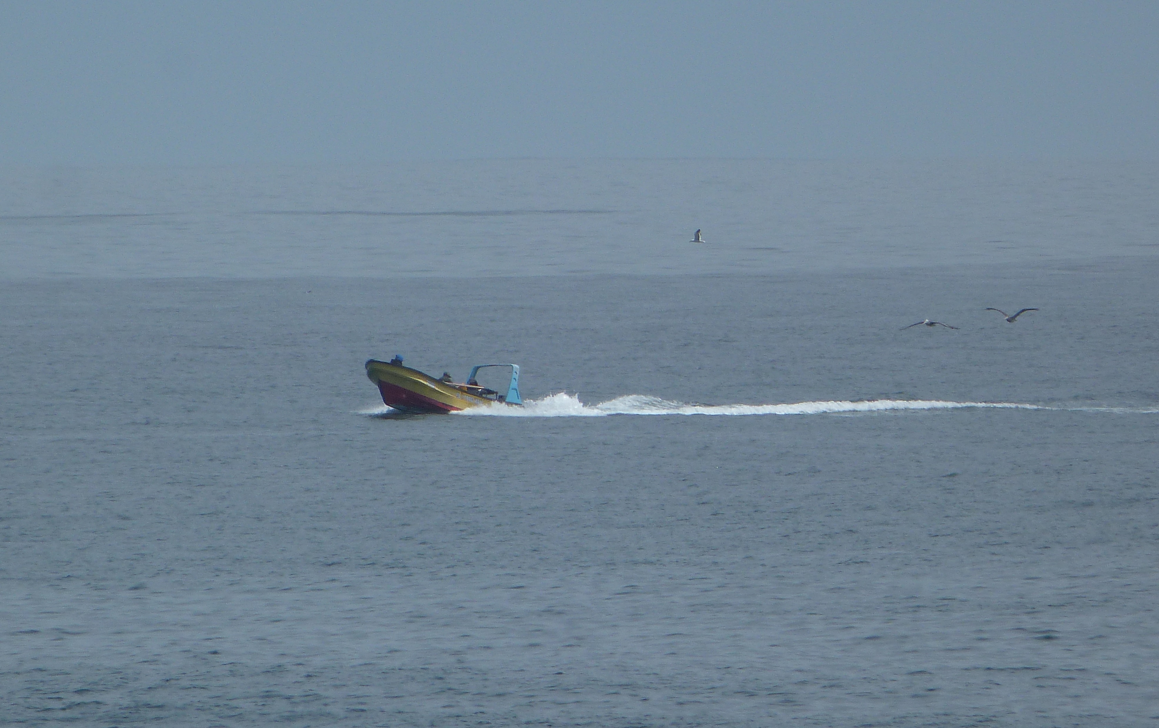 Bote de pesca artesanal navegando en el mar