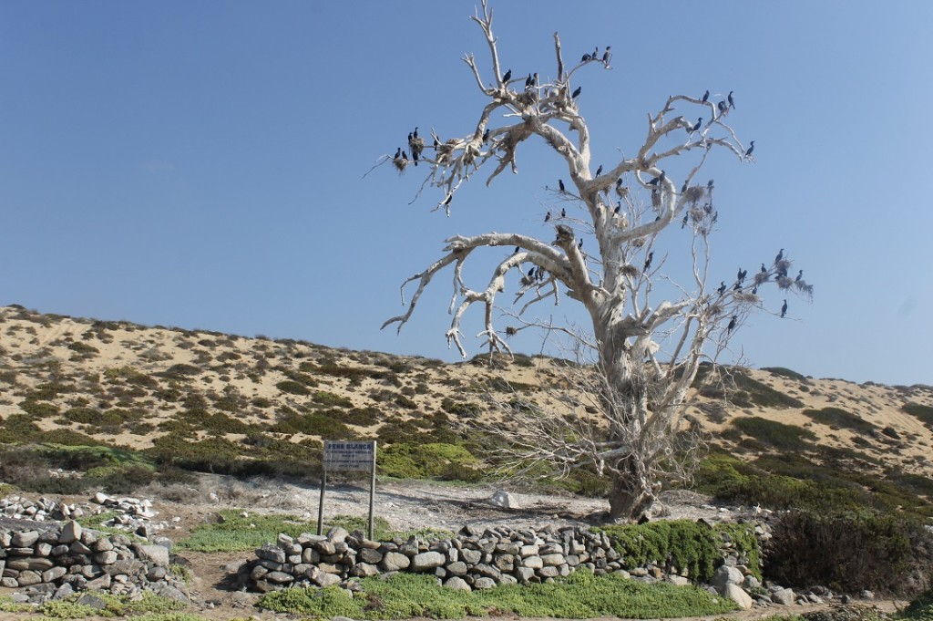 Paisaje de la cercana Caleta La Peña